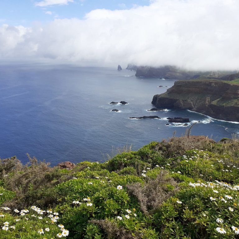Trekking Madeira, Zelten und Wandern auf Madeira