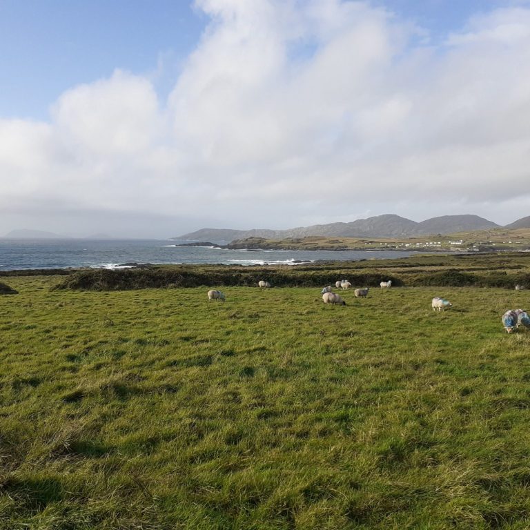 Wandern Dingle Way, Dingle Halbinsel Irland