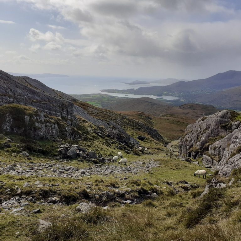 Wandern Beara Way, Beara Halbinsel Irland