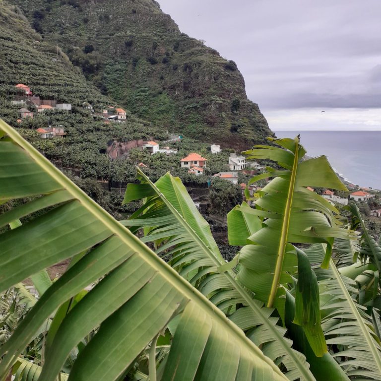 Trekking Madeira, Zelten und Wandern auf Madeira, Levadas Madeira