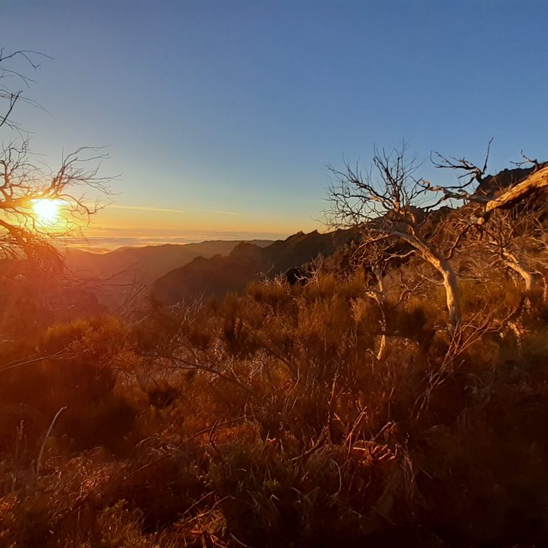 Trekking Madeira, Zelten und Wandern auf Madeira